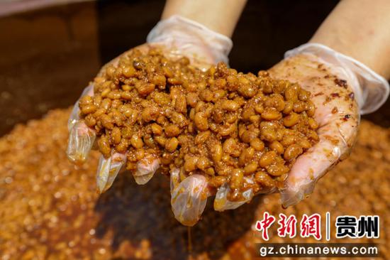 2024年8月29日,在贵州省铜仁市江口县民和镇艾坪村一家古法酱油加工厂拍摄的黄豆酱料。李鹤摄 2024年8月29日,在贵州省铜仁市江口县民和镇艾坪村一家古法酱油加工厂拍摄的黄豆酱料。李鹤摄