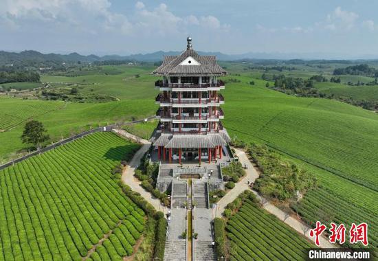 9月5日,航拍位于贵州省遵义市湄潭县永兴镇境内的“中国茶海”景区景美如画。 9月5日,航拍位于贵州省遵义市湄潭县永兴镇境内的“中国茶海”景区景美如画。