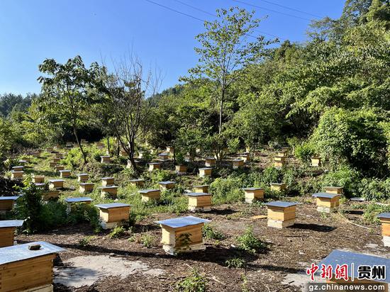 养殖基地 养殖基地