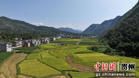 逢亭镇上隆村高标准农田