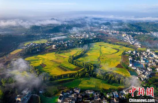 图为贵州黔西市洪水镇解放村晨雾缭绕,田野如画。史开心 摄 图为贵州黔西市洪水镇解放村晨雾缭绕,田野如画。史开心 摄
