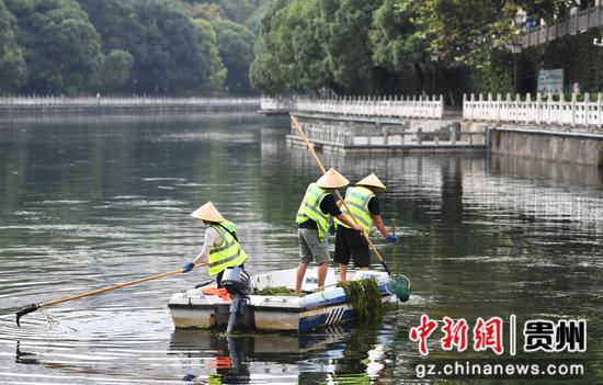 9月12日，贵阳市河湖保护中心的河道疏捞工人正在甲秀楼河段清理水草及水体漂浮物。