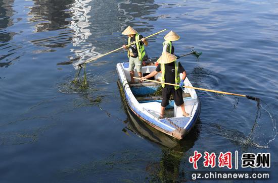 9月12日，贵阳市河湖保护中心的河道疏捞工人正在甲秀楼河段清理水草及水体漂浮物。