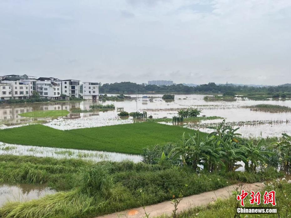 南宁河段水位上涨 城市道路积水农田被淹