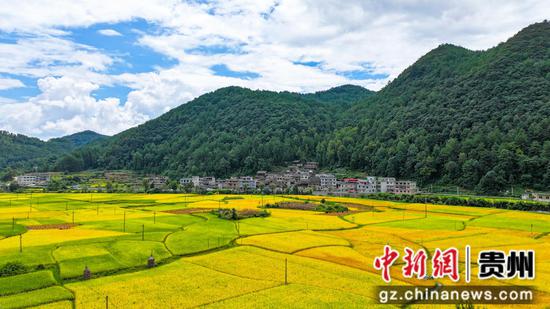 图为航拍惠水县摆金镇清水苑村。尹刚 摄 图为航拍惠水县摆金镇清水苑村。尹刚 摄