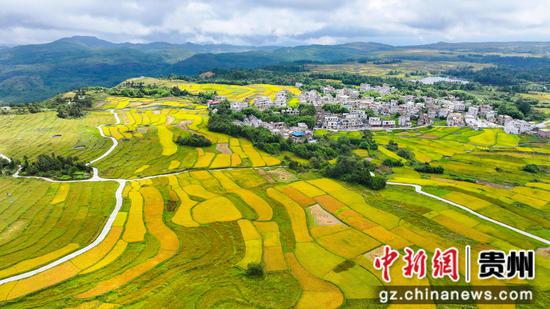 图为航拍惠水县摆金镇摆榜梯田。尹刚 摄 图为航拍惠水县摆金镇摆榜梯田。尹刚 摄
