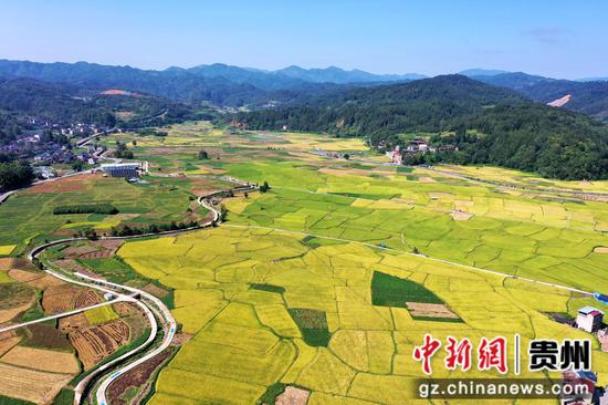 剑河县南明镇连片的稻田