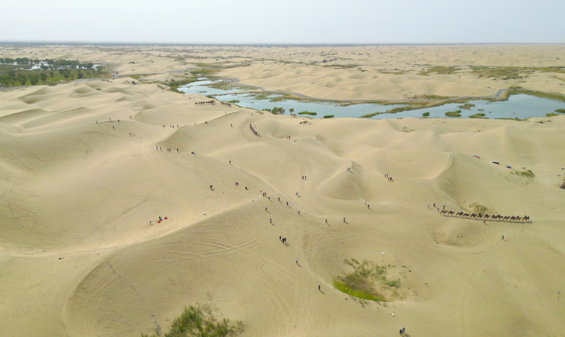 新疆尉犁：玩沙子 賞胡楊 塔克拉瑪干沙漠迎來(lái)旅游熱潮