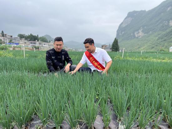 工作人员到香葱基地调研 工作人员到香葱基地调研