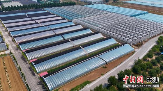 天津市武清区特色设施农业项目 天津市武清区特色设施农业项目