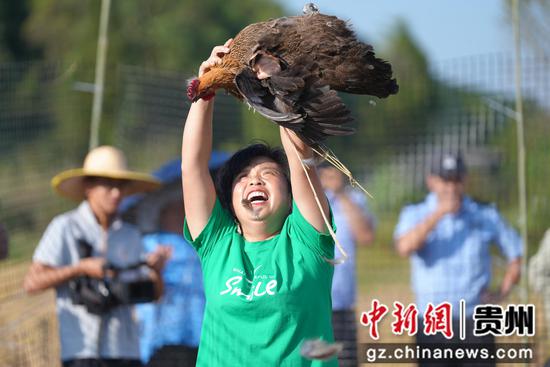 成功捉鸡的喜悦 成功捉鸡的喜悦