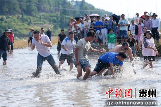 镇槟榔湖畔,“混水摸鱼”激情开赛 镇槟榔湖畔,“混水摸鱼”激情开赛