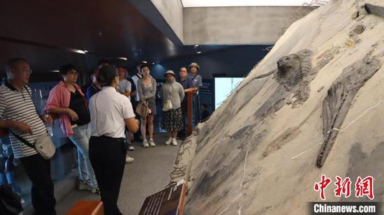 图为海外侨团一行参观兴义世界地质公园博物馆。李和江 摄 图为海外侨团一行参观兴义世界地质公园博物馆。李和江 摄