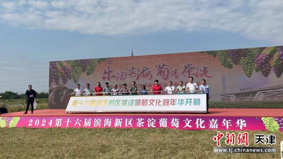 图为活动现场。(主办方供图)