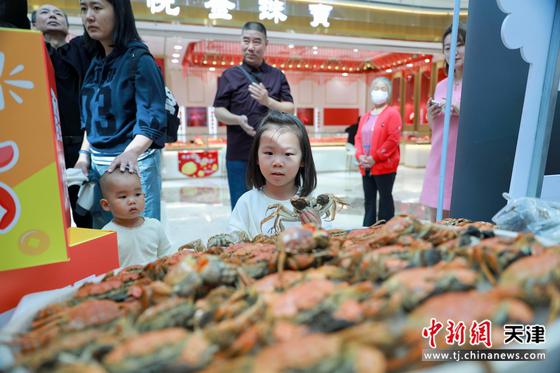 图为活动现场。(天津市宁河区供图)