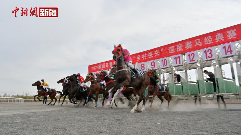 烏魯木齊首屆速度賽馬經(jīng)典賽開(kāi)閘?汗血馬奪冠