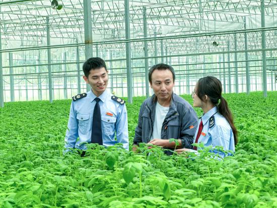 为支持马铃薯全产业链发展，毕节税务部门充分发挥税收职能作用。根据农业企业涉税费需求，量身定制政策“大礼包”，上门宣传辅导，跟踪了解企业生产经营和税费优惠政策享受情况，并为企业提供远程帮办和线上辅导，确保税费红利直达快享。图为税务干部在中垦署业有限责任公司了解土豆种子的生产情况。童霖 摄