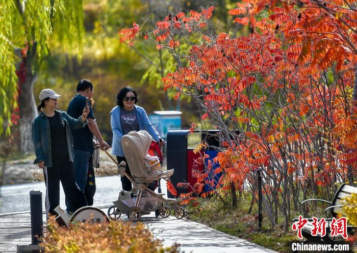 烏魯木齊公園秋色濃郁