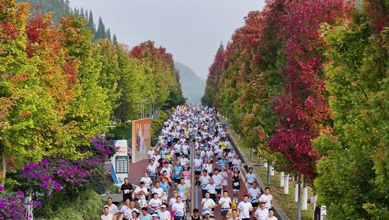 代仙羚 摄 代仙羚 摄