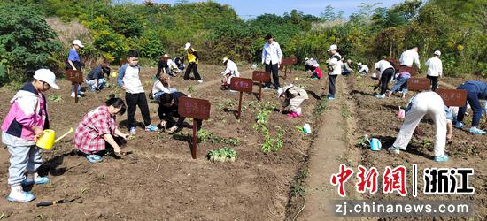 浙江吴兴：共富农场架起青少年助人自助桥梁