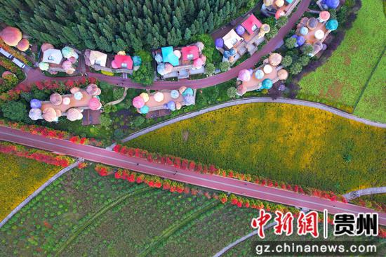 兴义阳光谷度假区秋意浓“枫”景美。江禾 摄 兴义阳光谷度假区秋意浓“枫”景美。江禾 摄