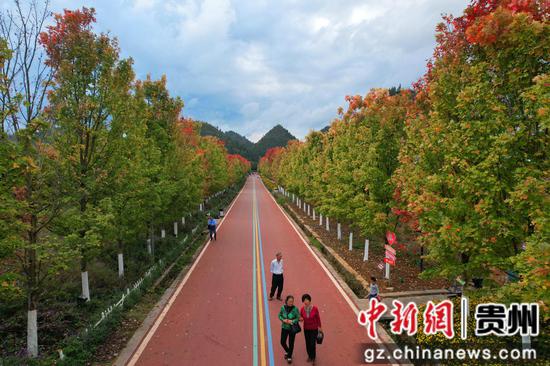 兴义阳光谷度假区秋意浓“枫”景美。江禾 摄 兴义阳光谷度假区秋意浓“枫”景美。江禾 摄