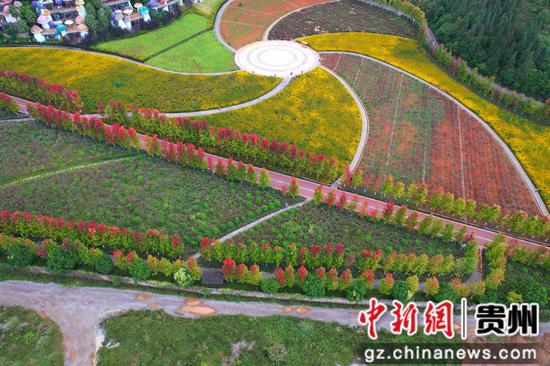 兴义阳光谷度假区秋意浓“枫”景美。江禾 摄 兴义阳光谷度假区秋意浓“枫”景美。江禾 摄