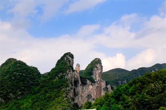 钟山区月照街道：打好“三张牌” 跑出乡村振兴“加速度”