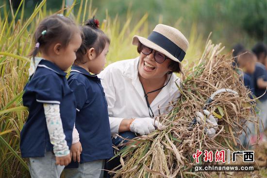 孩子们体验收割稻谷。 孩子们体验收割稻谷。