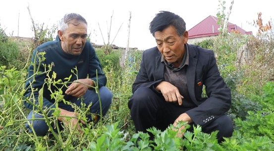 鞏生平：向陽(yáng)村里繪就最美同心圓