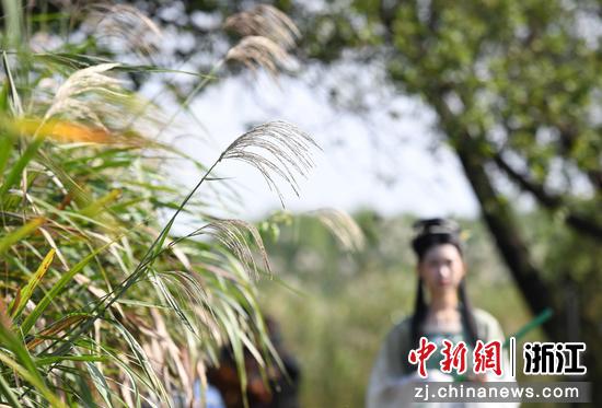 图为:汉服爱好者在芦花边进行走秀。中新社记者 王刚 摄