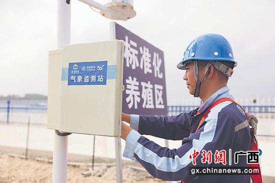 5G助力海洋养殖业实现智慧化标准化管理1。谢余玲 摄 5G助力海洋养殖业实现智慧化标准化管理1。谢余玲 摄