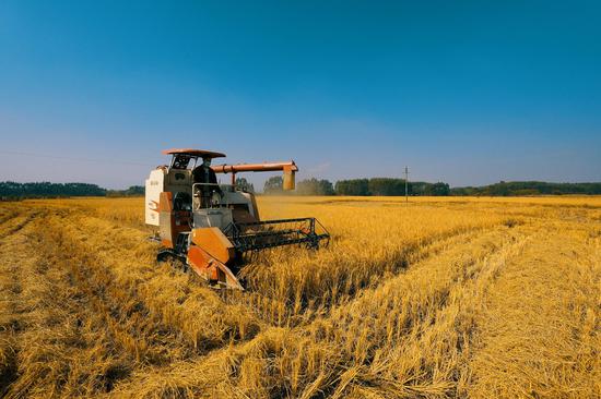 “5G+政务服务”助力广西各级党委政府推进乡村振兴工作。区弘哲 摄 “5G+政务服务”助力广西各级党委政府推进乡村振兴工作。区弘哲 摄