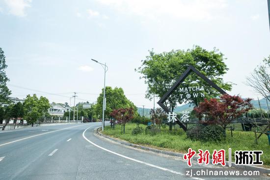 绍兴越城乡村公路。郑桐桐 供图