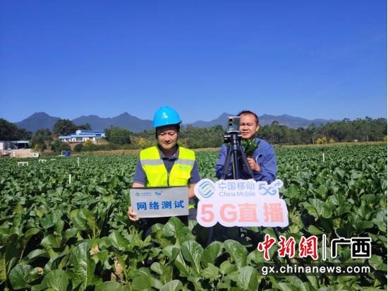 菜农在蔬菜基地通过移动5G网络直播。张松华 摄 菜农在蔬菜基地通过移动5G网络直播。张松华 摄