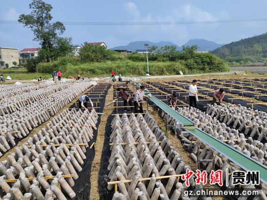 工人在基地务工 工人在基地务工