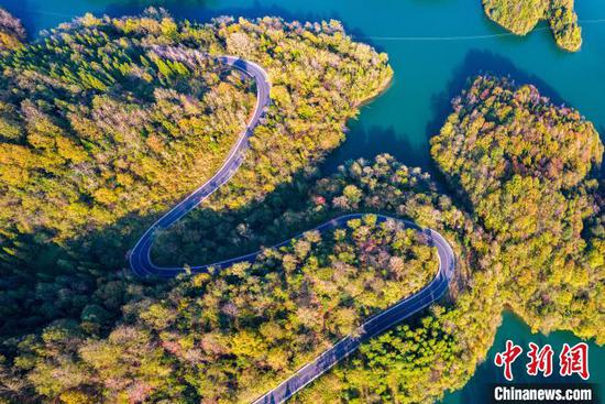 图为毕节市百里杜鹃管理区移山湖畔的公路两侧层林尽染,呈现别样风景。史开心 摄 图为毕节市百里杜鹃管理区移山湖畔的公路两侧层林尽染,呈现别样风景。史开心 摄