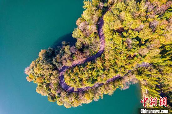 图为毕节市百里杜鹃管理区移山湖畔的公路两侧层林尽染,呈现别样风景。史开心 摄 图为毕节市百里杜鹃管理区移山湖畔的公路两侧层林尽染,呈现别样风景。史开心 摄