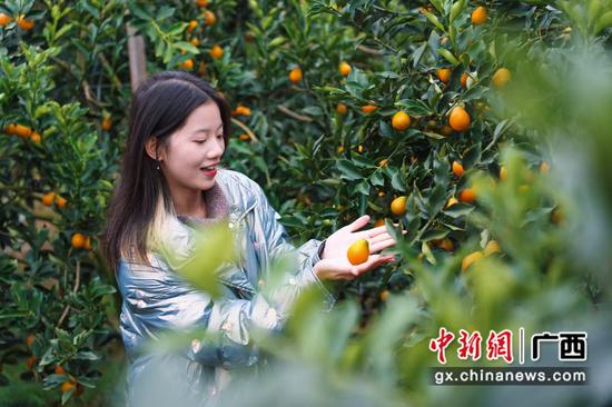 主办方 供图 主办方 供图