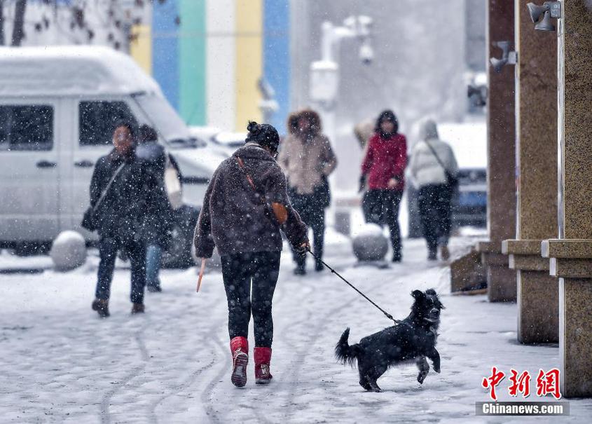 冷空氣來襲 新疆多地迎來新一輪降雪天氣