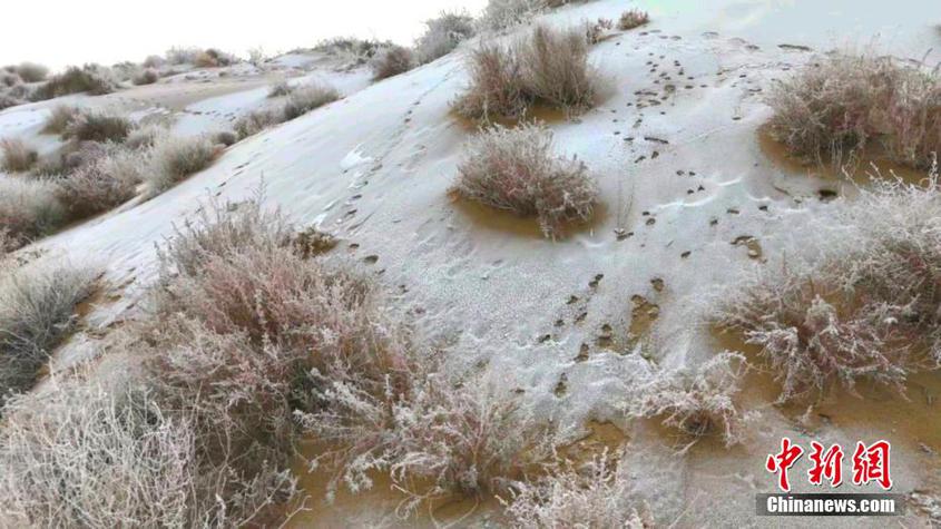 新疆塔克拉瑪干沙漠迎降雪