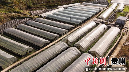 钩藤基地航拍 钩藤基地航拍