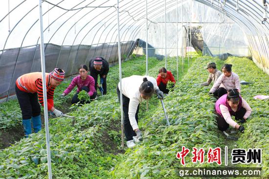 工人在除草。 工人在除草。