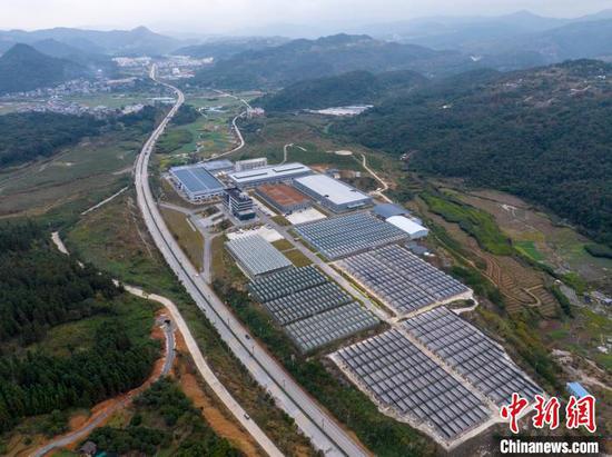 12月11日,航拍从江县贯洞镇百香果温室大棚育苗基地。吴德军 摄 12月11日,航拍从江县贯洞镇百香果温室大棚育苗基地。吴德军 摄