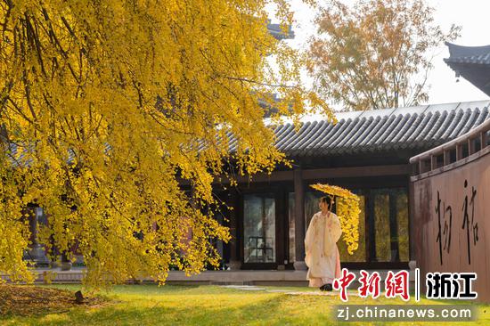 身着古风服饰的游客在银杏树下拍照。沈清辉 摄