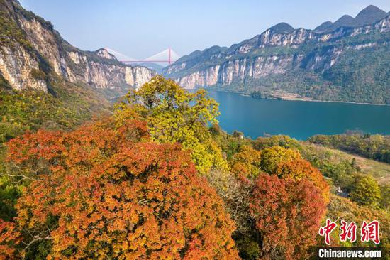 航拍黔西市境内的六冲河段,色彩斑斓冬景如画。史开心 摄 航拍黔西市境内的六冲河段,色彩斑斓冬景如画。史开心 摄