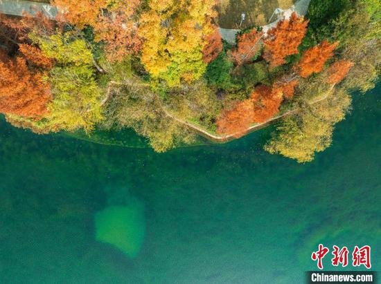 图为航拍贵阳白云泉湖公园冬日城市生态美。(无人机照片)唐哲 摄 图为航拍贵阳白云泉湖公园冬日城市生态美。(无人机照片)唐哲 摄