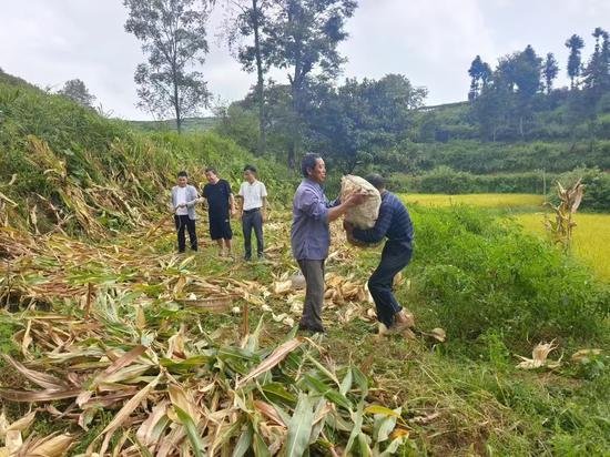 统计产业奖补 统计产业奖补