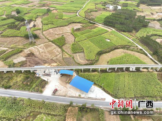 国道322线来宾市兴宾区塘权村路段上的甘蔗分步式机收服务点。麦梦 摄