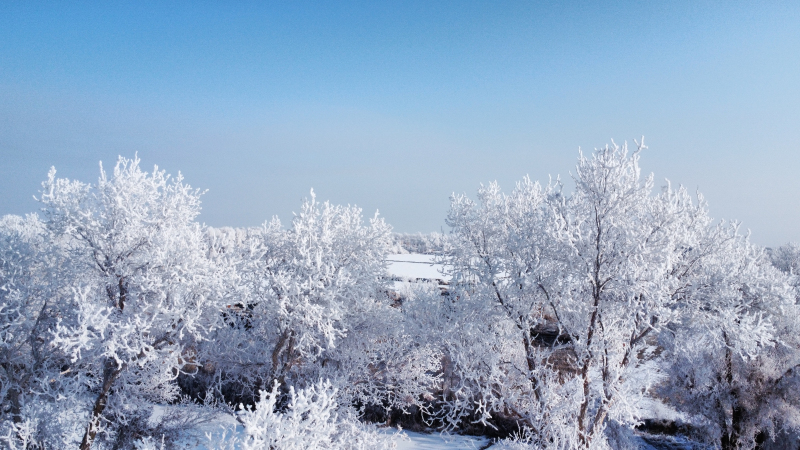 大雪飄然而至，似天仙散花，世界銀裝素裹。